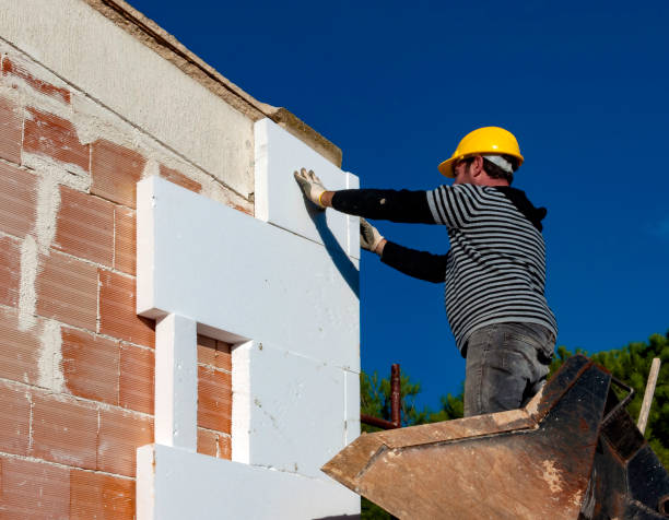 Best Insulation for New Construction  in Mendon, UT