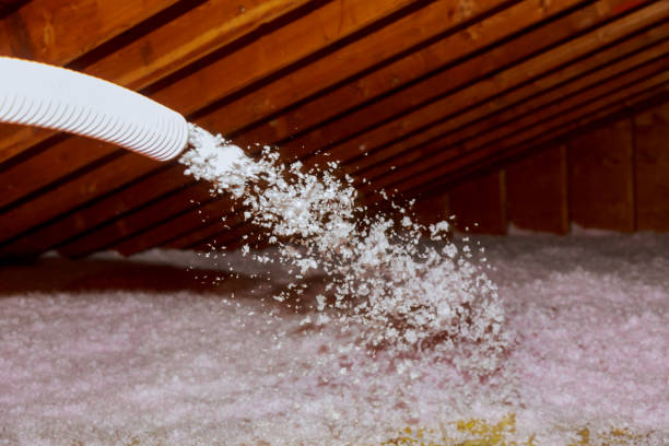 Best Soundproof Insulation Installation  in Mendon, UT