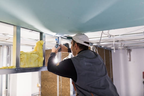 Best Residential Insulation Services  in Mendon, UT