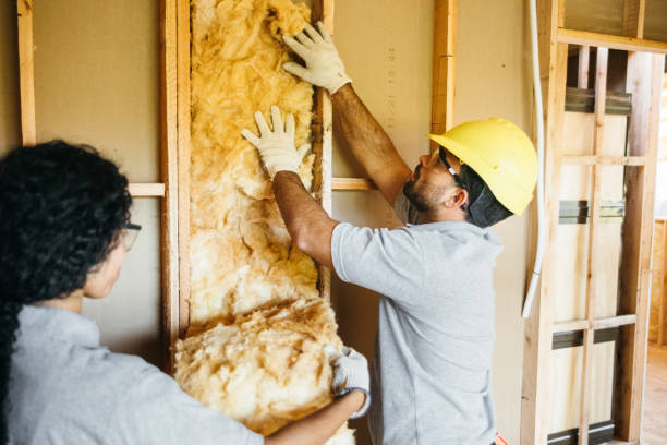 Best Insulation Contractors for Homes  in Mendon, UT