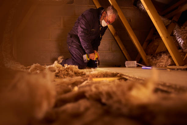 Best Insulation Removal  in Mendon, UT